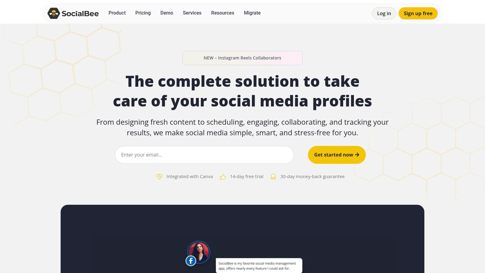 SocialBee
